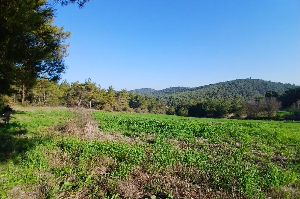 C21 LOCA'DAN BİGADİÇ ÇAMKÖY MAHALLESİNDE 1846,28M2 SATILIK TARLA