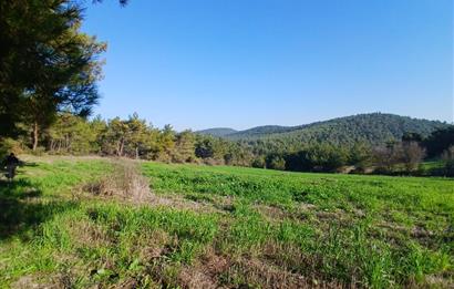 C21 LOCA'DAN BİGADİÇ ÇAMKÖY MAHALLESİNDE 1846,28M2 SATILIK TARLA