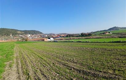 C21 LOCA'DAN BİGADİÇ ÇAMKÖY'DE GÖL MANZARALI 878M2 SATILIK TARLA