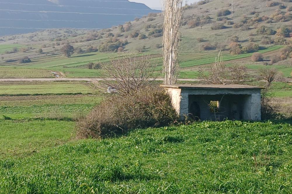 C21 LOCA'DAN BİGADİÇ ÇAMKÖY'DE DOĞA MANZARALI SATILIK TARLALAR