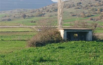 C21 LOCA'DAN BİGADİÇ ÇAMKÖY'DE DOĞA MANZARALI SATILIK TARLALAR