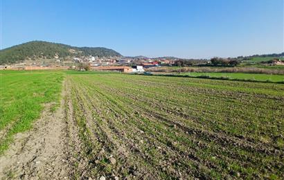 C21 LOCA'DAN BİGADİÇ ÇAMKÖY'DE GÖL MANZARALI 878M2 SATILIK TARLA