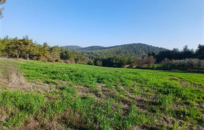 C21 LOCA'DAN BİGADİÇ ÇAMKÖY MAHALLESİNDE 1846,28M2 SATILIK TARLA