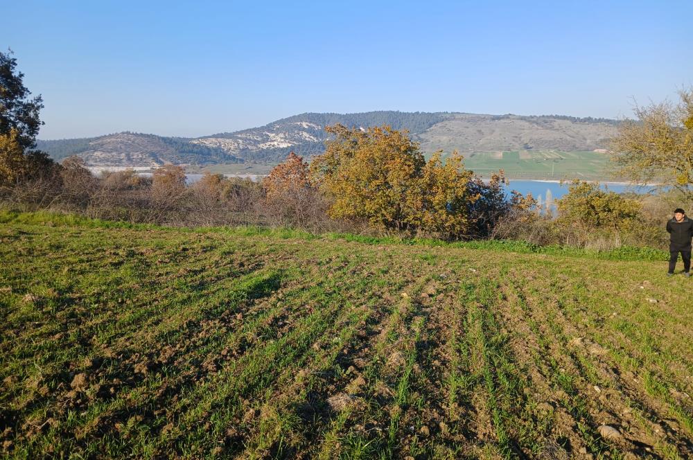 C21 LOCA'DAN BİGADİÇ ÇAMKÖY MAHALLESİNDE ACİL SATILIK TARLA