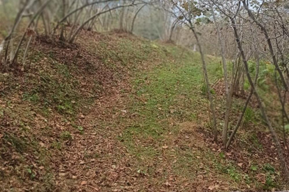 CENTURY 21'DEN PERŞEMBE YENİKÖY'DE DENİZ MANZARALI BAHÇE