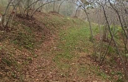 CENTURY 21'DEN PERŞEMBE YENİKÖY'DE DENİZ MANZARALI BAHÇE