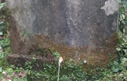 CENTURY 21'DEN PERŞEMBE YENİKÖY'DE DENİZ MANZARALI BAHÇE