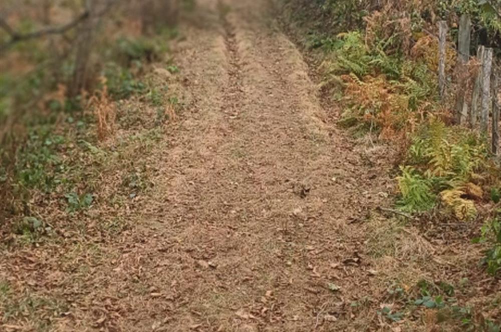 CENTURY 21'DEN PERŞEMBE YENİKÖY'DE DENİZ MANZARALI BAHÇE