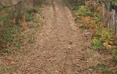 CENTURY 21'DEN PERŞEMBE YENİKÖY'DE DENİZ MANZARALI BAHÇE