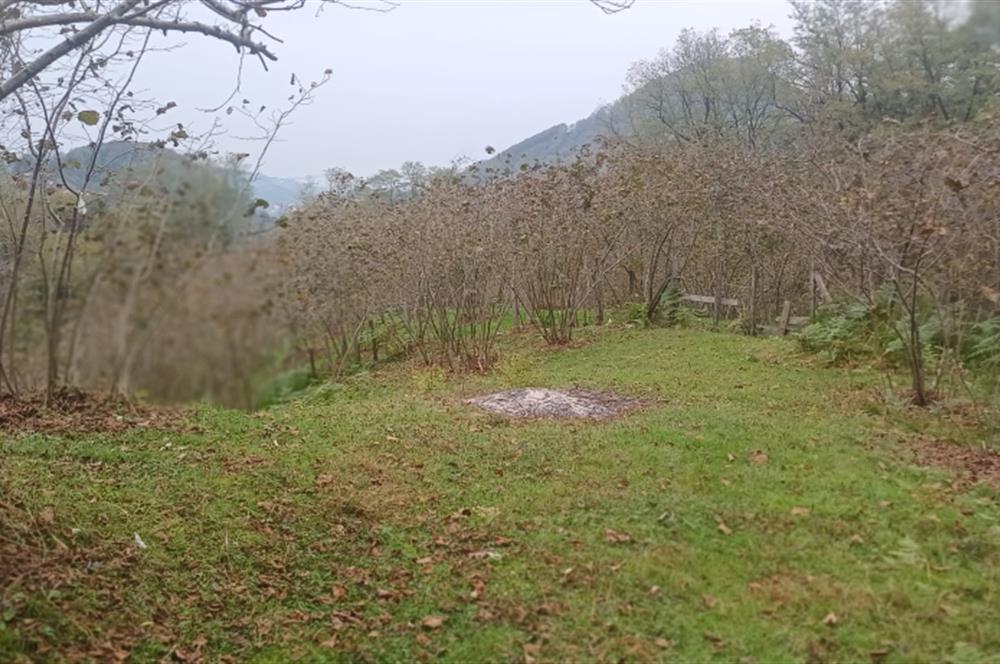 CENTURY 21'DEN PERŞEMBE YENİKÖY'DE DENİZ MANZARALI BAHÇE