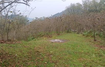 CENTURY 21'DEN PERŞEMBE YENİKÖY'DE DENİZ MANZARALI BAHÇE