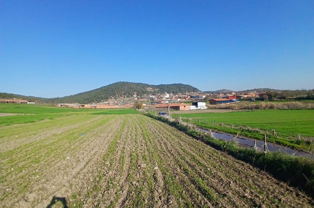 C21 LOCA'DAN BİGADİÇ ÇAMKÖY'DE GÖL MANZARALI 878M2 SATILIK TARLA