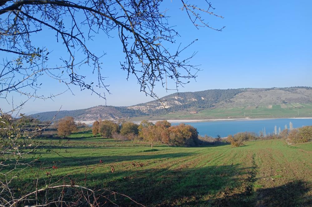 C21 LOCA'DAN BİGADİÇ ÇAMKÖY MAHALLESİNDE ACİL SATILIK TARLA