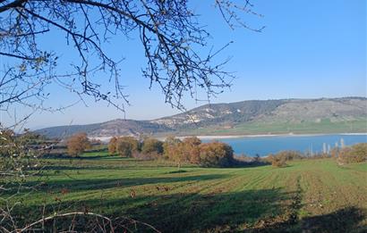 C21 LOCA'DAN BİGADİÇ ÇAMKÖY MAHALLESİNDE ACİL SATILIK TARLA