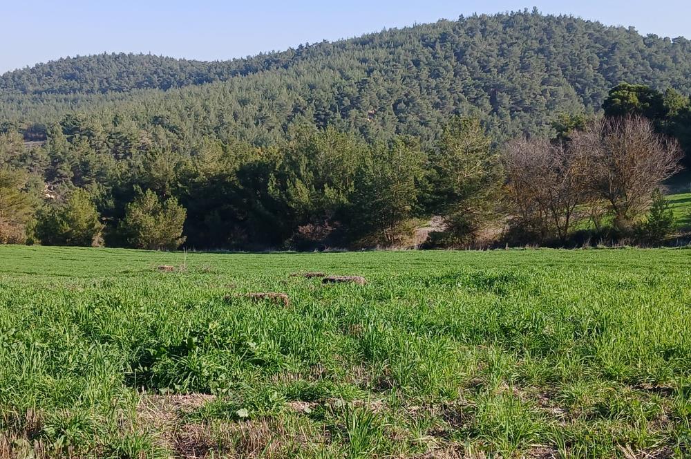 C21 LOCA'DAN BİGADİÇ ÇAMKÖY MAHALLESİNDE 1846,28M2 SATILIK TARLA