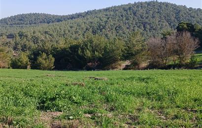 C21 LOCA'DAN BİGADİÇ ÇAMKÖY MAHALLESİNDE 1846,28M2 SATILIK TARLA