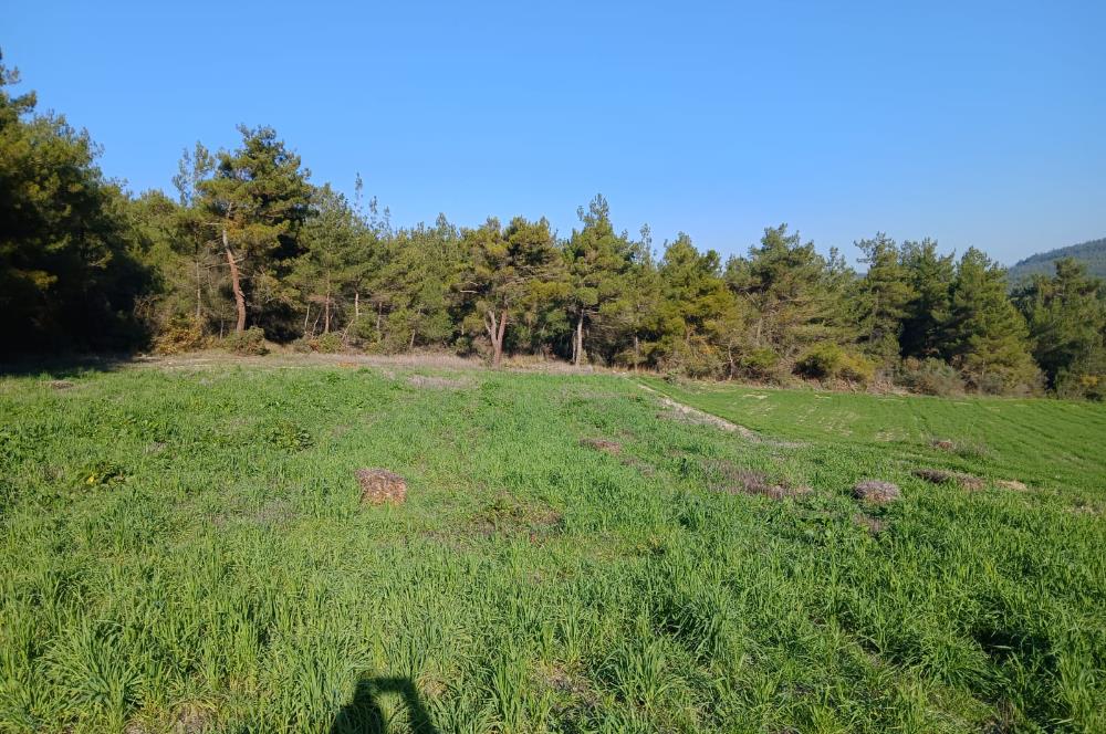 C21 LOCA'DAN BİGADİÇ ÇAMKÖY MAHALLESİNDE 1846,28M2 SATILIK TARLA