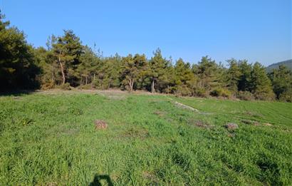 C21 LOCA'DAN BİGADİÇ ÇAMKÖY MAHALLESİNDE 1846,28M2 SATILIK TARLA