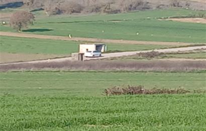 C21 LOCA'DAN BİGADİÇ ÇAMKÖY'DE DOĞA MANZARALI SATILIK TARLALAR