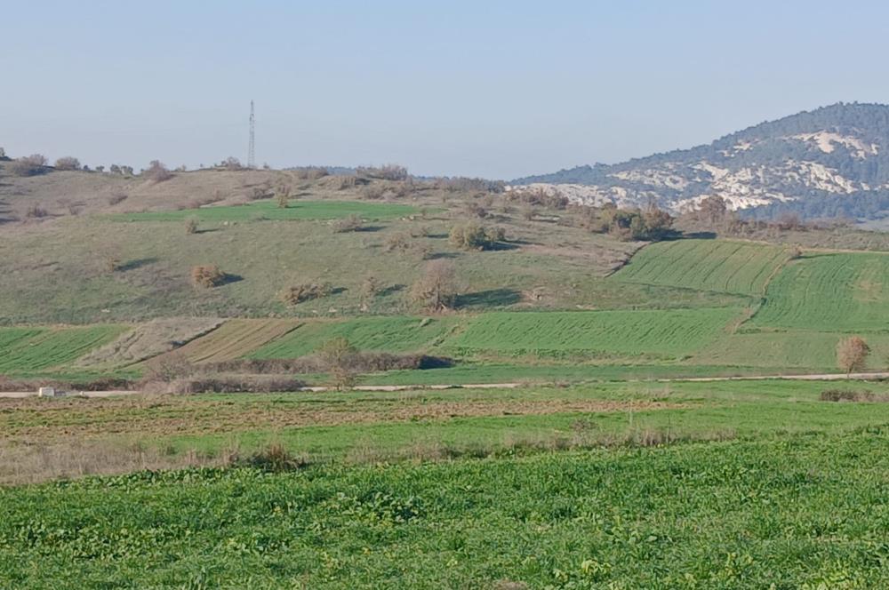 C21 LOCA'DAN BİGADİÇ ÇAMKÖY'DE DOĞA MANZARALI SATILIK TARLALAR
