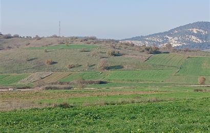 C21 LOCA'DAN BİGADİÇ ÇAMKÖY'DE DOĞA MANZARALI SATILIK TARLALAR