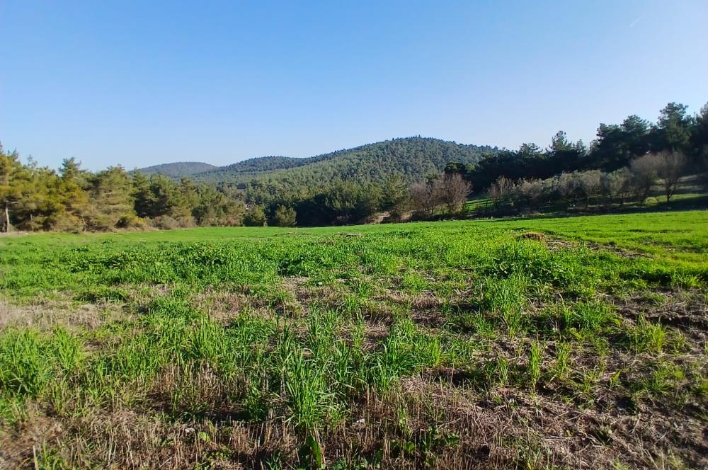 C21 LOCA'DAN BİGADİÇ ÇAMKÖY MAHALLESİNDE 1846,28M2 SATILIK TARLA