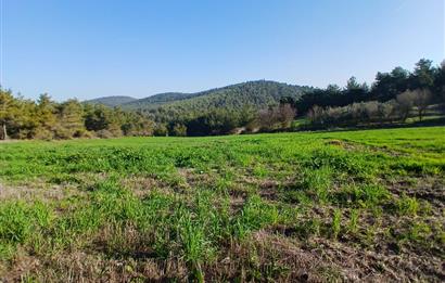 C21 LOCA'DAN BİGADİÇ ÇAMKÖY MAHALLESİNDE 1846,28M2 SATILIK TARLA