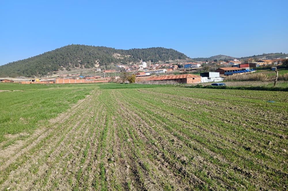 C21 LOCA'DAN BİGADİÇ ÇAMKÖY'DE GÖL MANZARALI 878M2 SATILIK TARLA