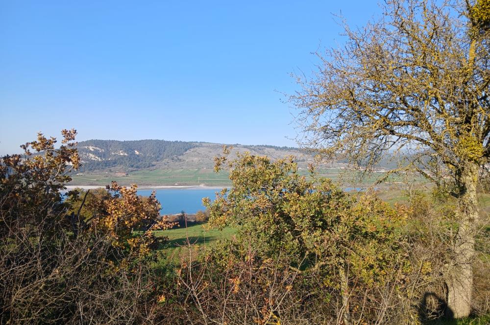 C21 LOCA'DAN BİGADİÇ ÇAMKÖY MAHALLESİNDE ACİL SATILIK TARLA