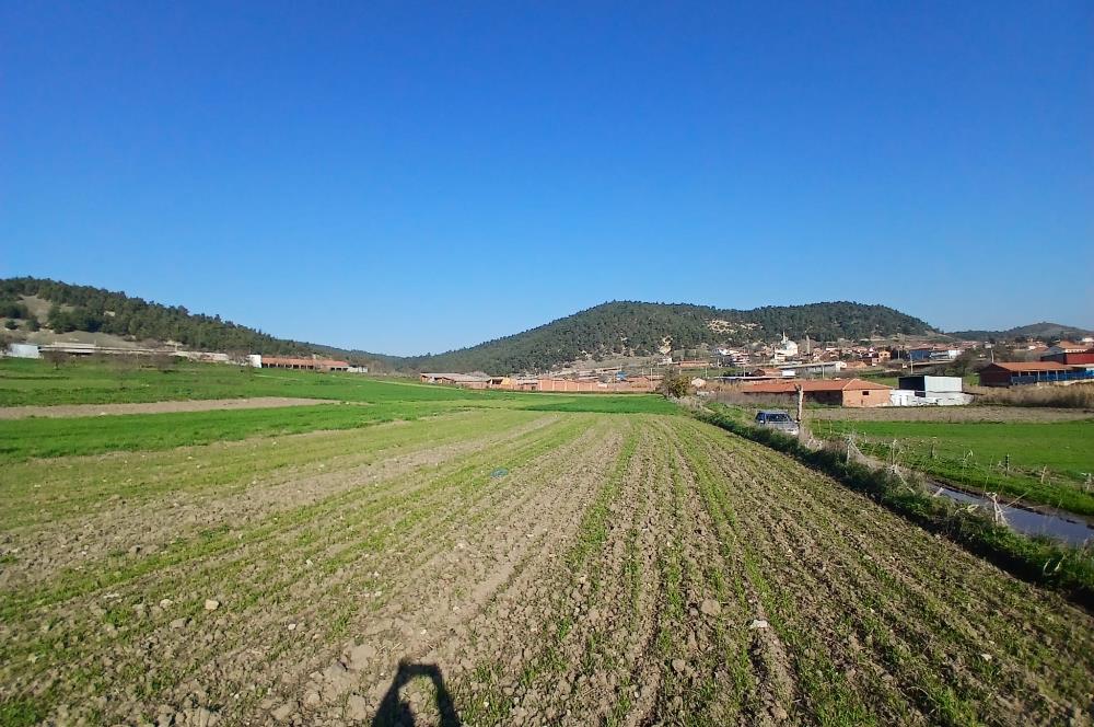 C21 LOCA'DAN BİGADİÇ ÇAMKÖY'DE GÖL MANZARALI 878M2 SATILIK TARLA