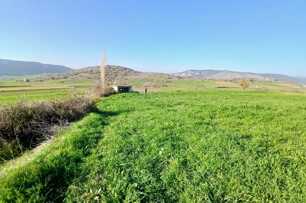 C21 LOCA'DAN BİGADİÇ ÇAMKÖY'DE DOĞA MANZARALI SATILIK TARLALAR