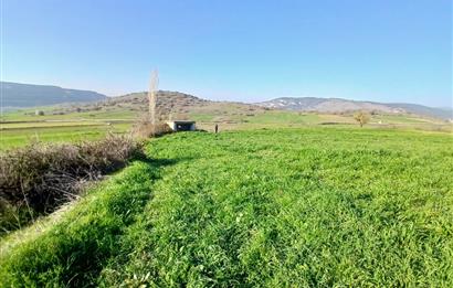 C21 LOCA'DAN BİGADİÇ ÇAMKÖY'DE DOĞA MANZARALI SATILIK TARLALAR