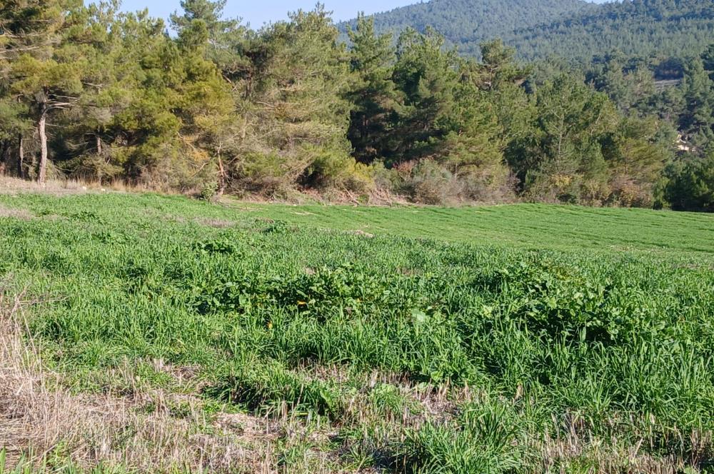 C21 LOCA'DAN BİGADİÇ ÇAMKÖY MAHALLESİNDE 1846,28M2 SATILIK TARLA