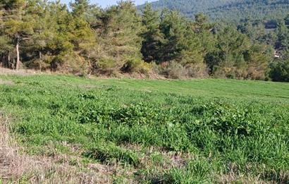 C21 LOCA'DAN BİGADİÇ ÇAMKÖY MAHALLESİNDE 1846,28M2 SATILIK TARLA