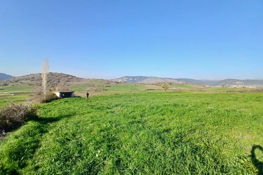 C21 LOCA'DAN BİGADİÇ ÇAMKÖY'DE DOĞA MANZARALI SATILIK TARLALAR