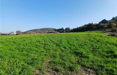 C21 LOCA'DAN BİGADİÇ ÇAMKÖY'DE DOĞA MANZARALI SATILIK TARLALAR