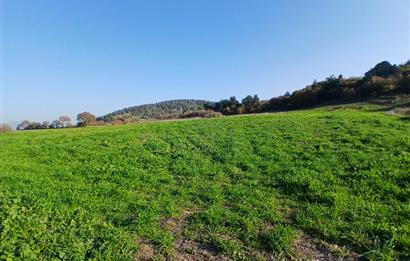 C21 LOCA'DAN BİGADİÇ ÇAMKÖY'DE DOĞA MANZARALI SATILIK TARLALAR