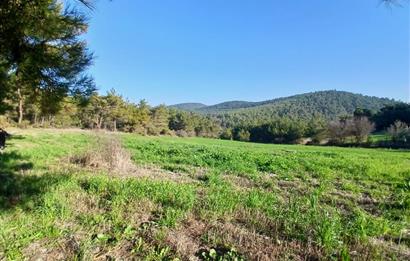 C21 LOCA'DAN BİGADİÇ ÇAMKÖY MAHALLESİNDE 1846,28M2 SATILIK TARLA