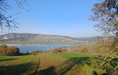 C21 LOCA'DAN BİGADİÇ ÇAMKÖY MAHALLESİNDE ACİL SATILIK TARLA