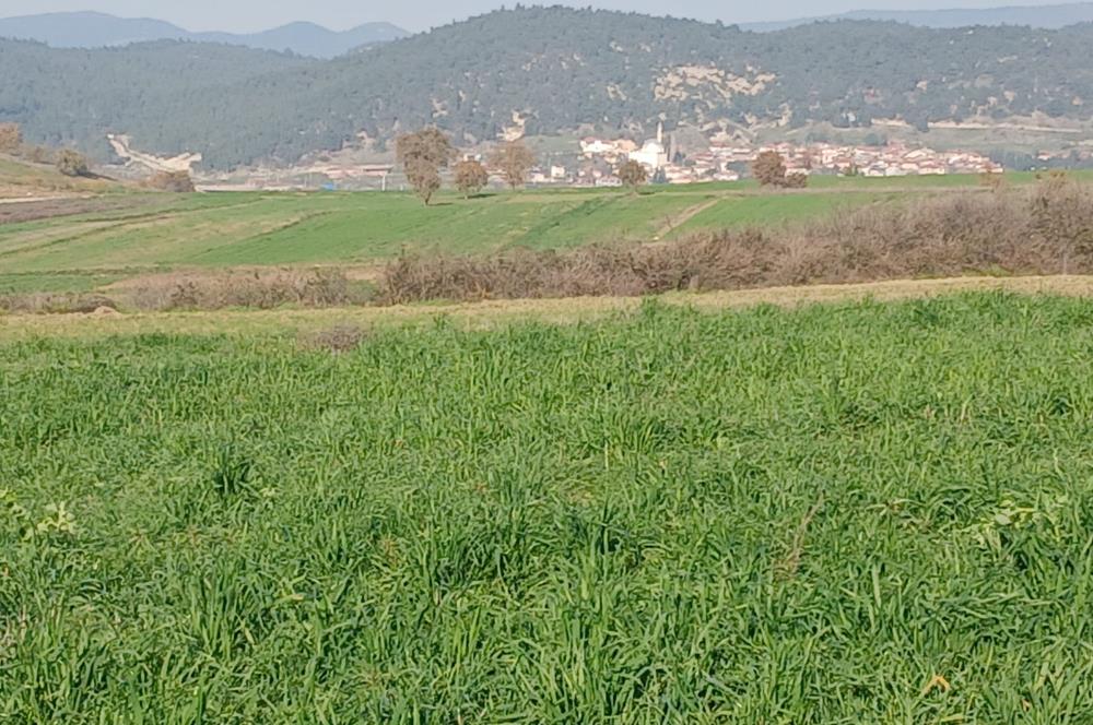 C21 LOCA'DAN BİGADİÇ ÇAMKÖY'DE DOĞA MANZARALI SATILIK TARLALAR