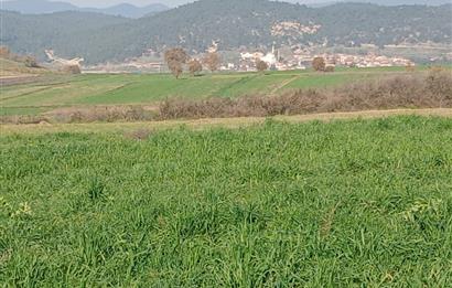 C21 LOCA'DAN BİGADİÇ ÇAMKÖY'DE DOĞA MANZARALI SATILIK TARLALAR