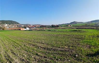 C21 LOCA'DAN BİGADİÇ ÇAMKÖY'DE GÖL MANZARALI 878M2 SATILIK TARLA