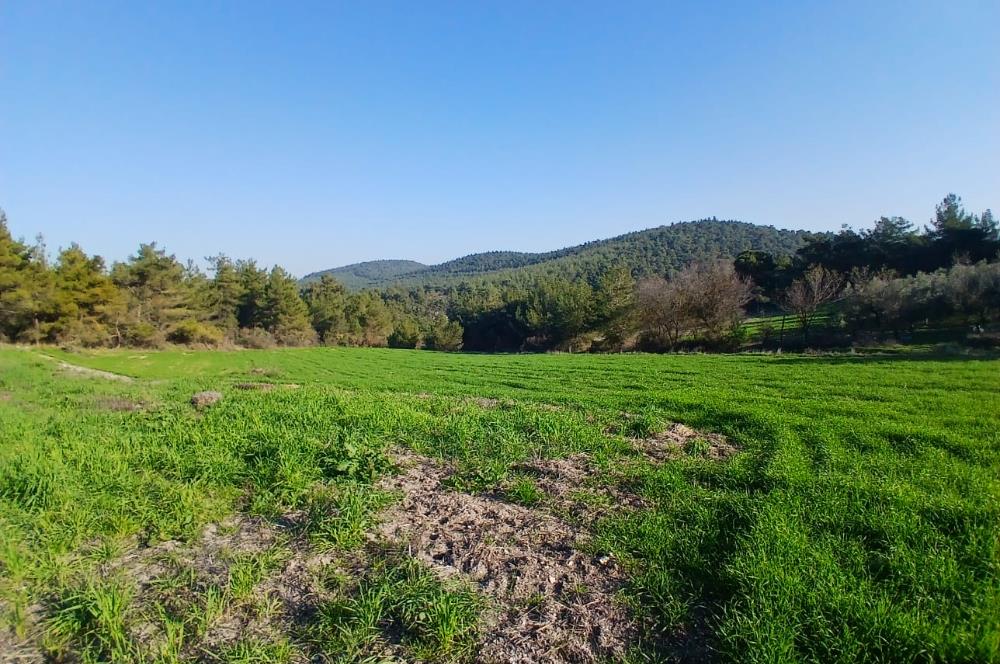 C21 LOCA'DAN BİGADİÇ ÇAMKÖY MAHALLESİNDE 1846,28M2 SATILIK TARLA