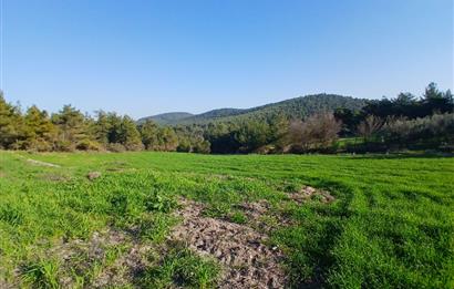 C21 LOCA'DAN BİGADİÇ ÇAMKÖY MAHALLESİNDE 1846,28M2 SATILIK TARLA