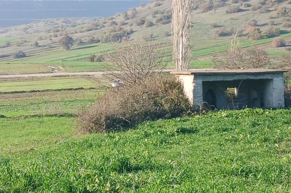 C21 LOCA'DAN BİGADİÇ ÇAMKÖY'DE DOĞA MANZARALI SATILIK TARLALAR