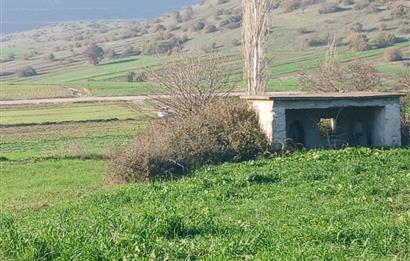 C21 LOCA'DAN BİGADİÇ ÇAMKÖY'DE DOĞA MANZARALI SATILIK TARLALAR