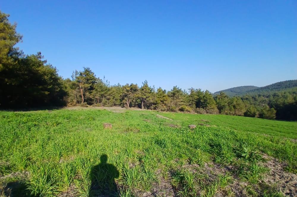 C21 LOCA'DAN BİGADİÇ ÇAMKÖY MAHALLESİNDE 1846,28M2 SATILIK TARLA