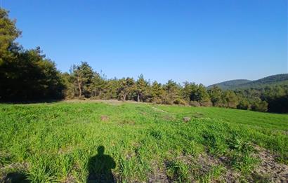 C21 LOCA'DAN BİGADİÇ ÇAMKÖY MAHALLESİNDE 1846,28M2 SATILIK TARLA