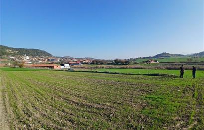 C21 LOCA'DAN BİGADİÇ ÇAMKÖY'DE GÖL MANZARALI 878M2 SATILIK TARLA