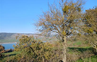 C21 LOCA'DAN BİGADİÇ ÇAMKÖY MAHALLESİNDE ACİL SATILIK TARLA